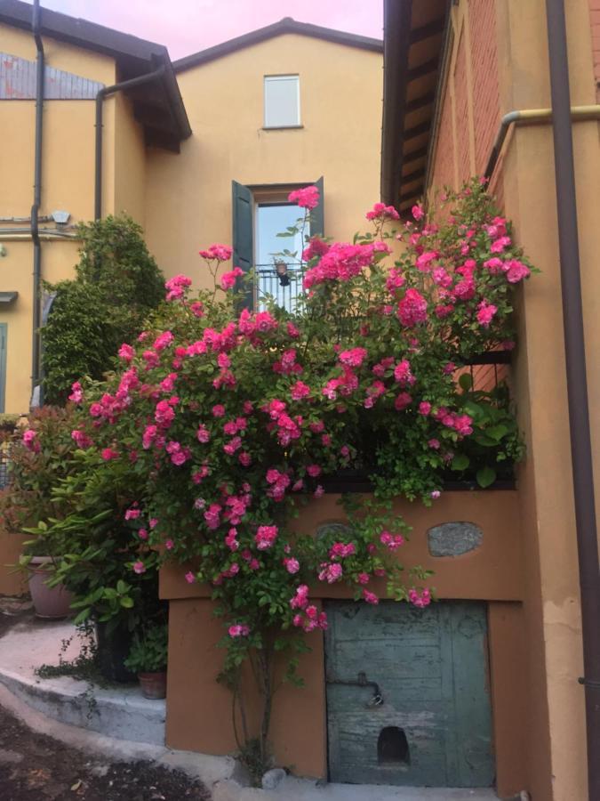 B&B Monte Donato Bolonya Dış mekan fotoğraf