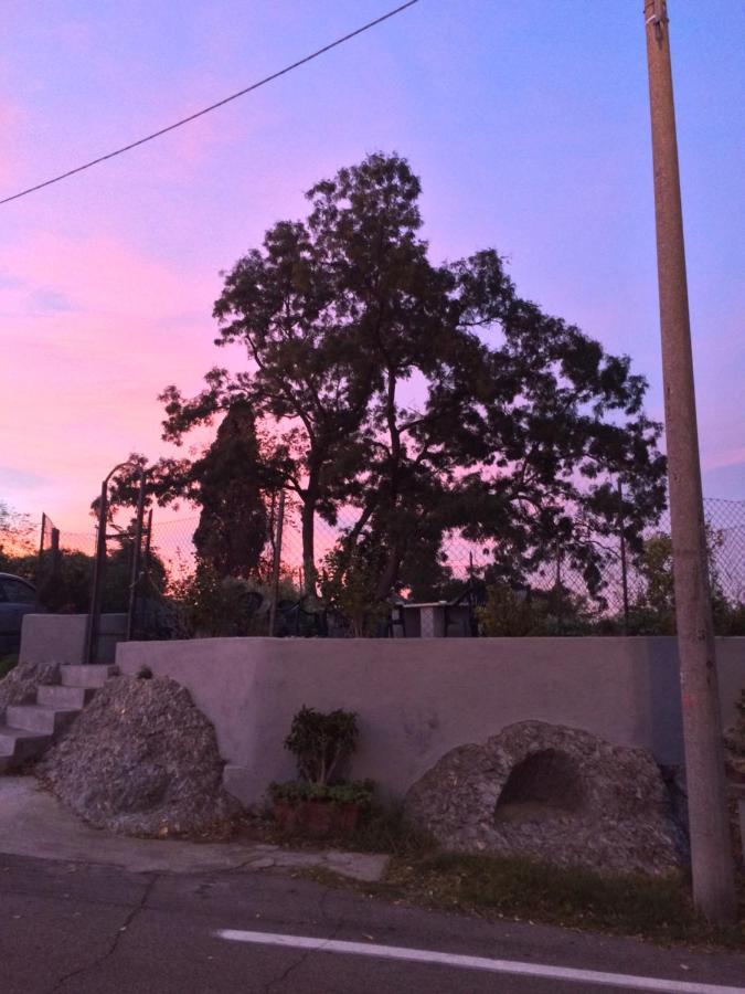 B&B Monte Donato Bolonya Dış mekan fotoğraf