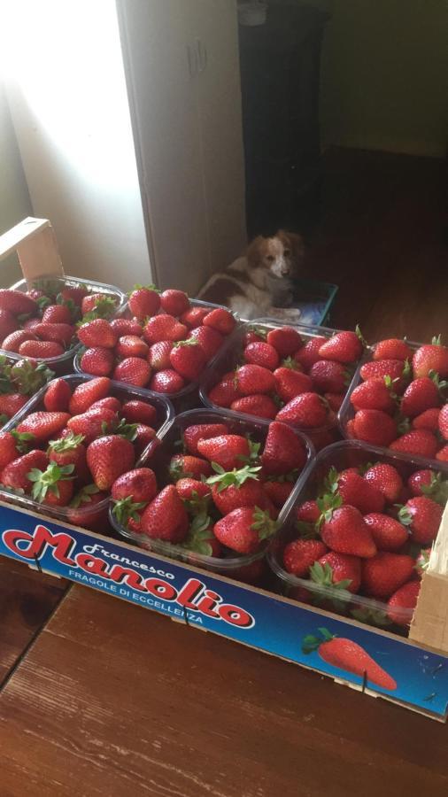B&B Monte Donato Bolonya Dış mekan fotoğraf